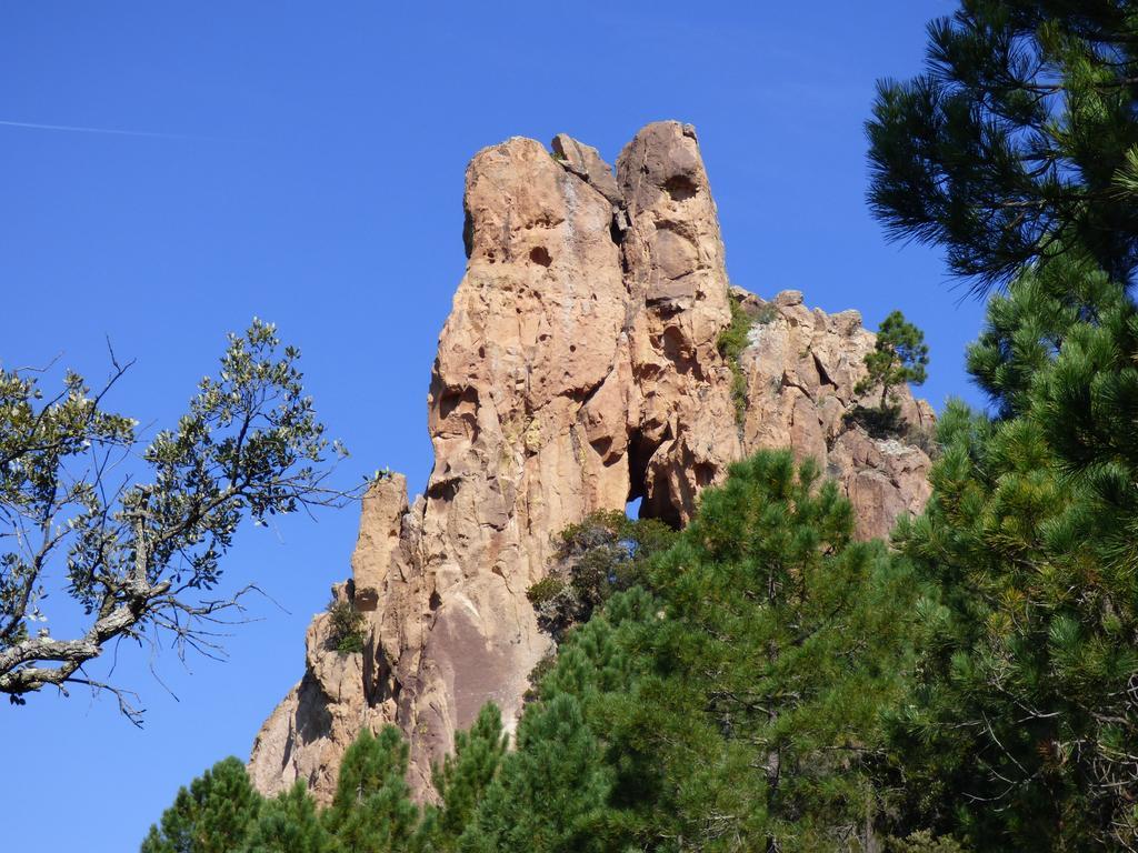 Chambres D'Hotes Vue Mer L'Esterel Panoramique Saint-Jean-de-l'Esterel Luaran gambar